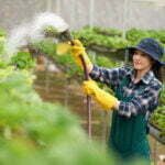 Bewässerungssysteme in Ihrem Garten - Wohntrends Magazin