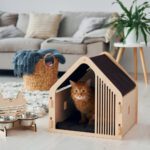 So können Sie Ihre Wohnung katzengerecht einrichten - Wohntrends Magazin