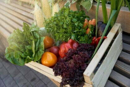 Krisenvorsorge mit Obst und Gemüse aus dem eigenen Garten - Wohntrends Magazin