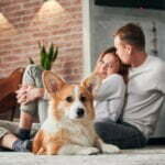 Wohnen mit Hund Worauf sollten Sie bei der Einrichtung achten - Wohntrends Magazin