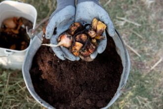 Die Vorteile von natürlichen Düngemitteln für den Garten - Wohntrends Magazin