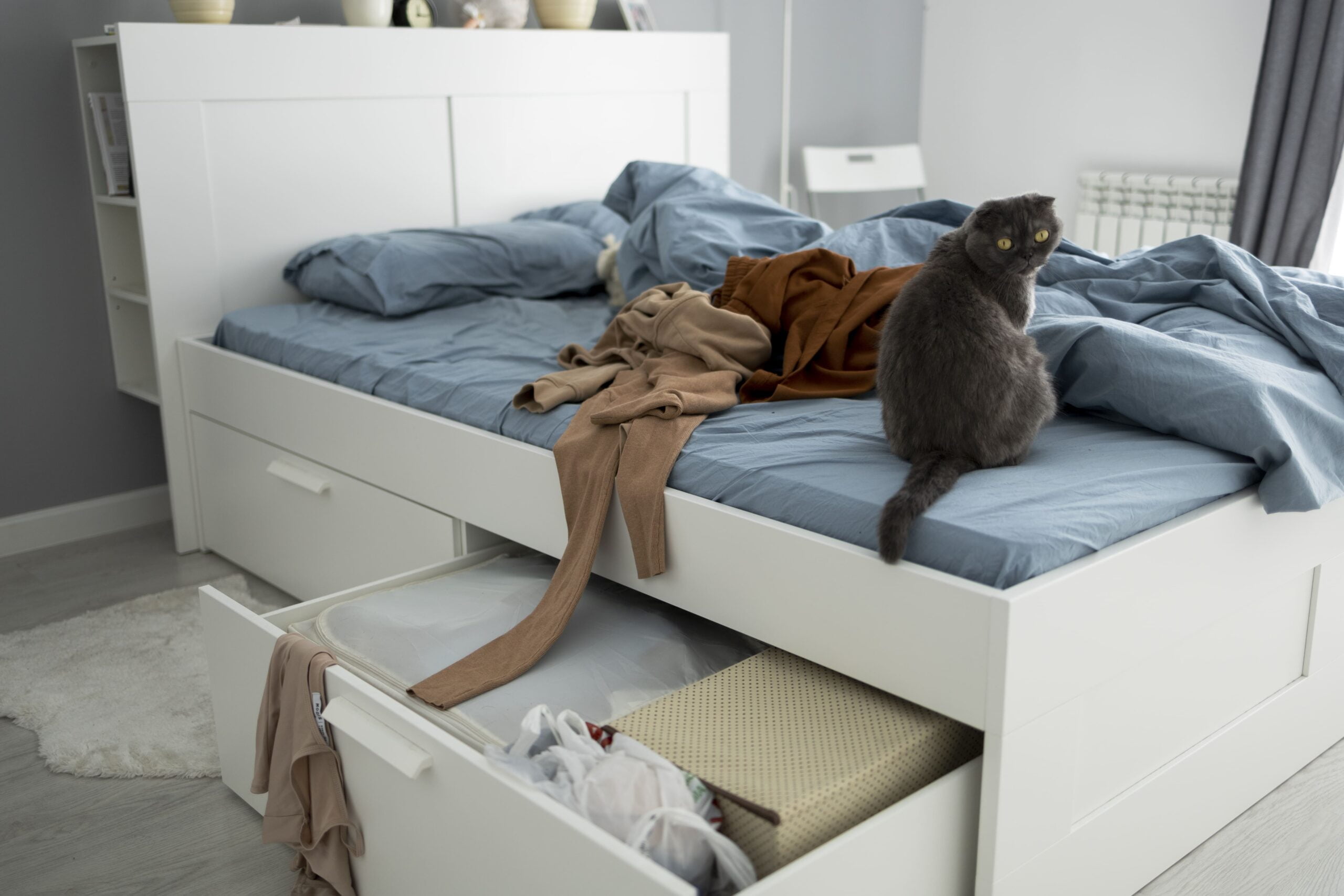 Kastenbett als Blickfang im Schlafzimmer - Wohntrends Magazin