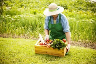 starsza-kobieta-z-warzywami-Gemuesegarten-Ideen-fuer-Anfaenger-So-gelingt-der-Start-ins-Gartenjahr-Wohntrends-Magazin