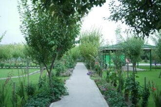 16082206-Natürlicher Sichtschutz Pflanzen für mehr Privatsphäre im Garten-Wohntrends Magazin