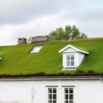 Gründachaufbau als ästhetische Gestaltungsmöglichkeit für Gebäude - Wohntrendsmagazin