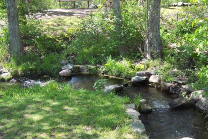 Bachlauf im Garten: Eine natürliche Wasserquelle für Entspannung und Ästhetik