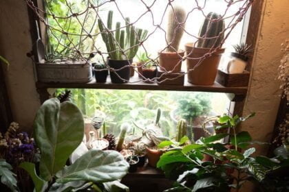 chokniti-khongchum-Pflanzenregale für den Balkon Grüne Akzente auf begrenztem Raum setzen-Wohntrends Magazin