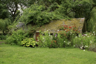 Präriegarten anlegen: Tipps und Schritte zur Gestaltung eines naturnahen Gartens