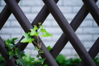 Jägerzaun: Eine zeitlose Wahl für den Gartenzaun