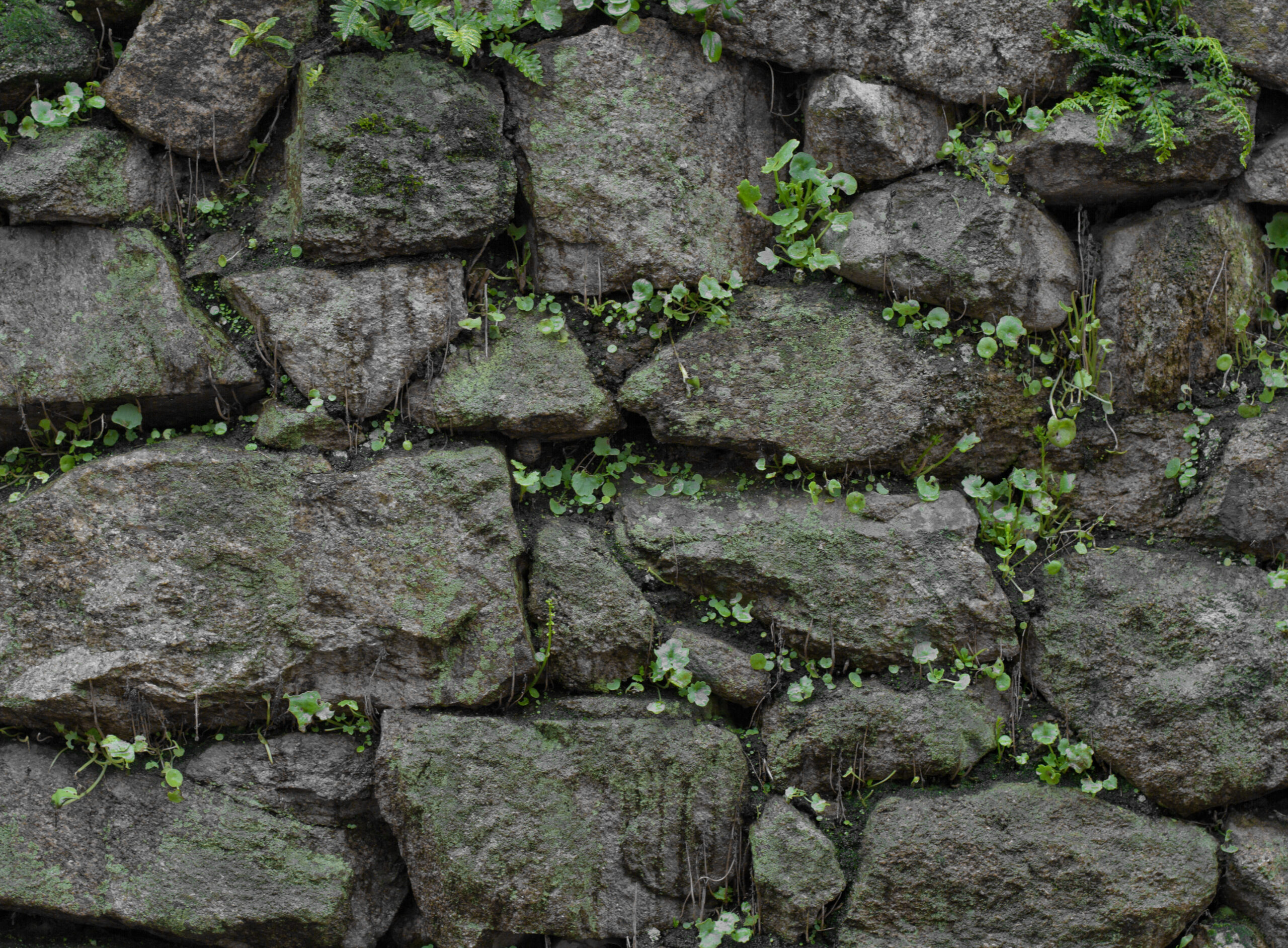Steinmauern im Garten: Ästhetische Gestaltungsideen und praktische Tipps
