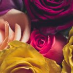 Rosenarten für besondere Anlässe: Blumen mit Symbolik und Bedeutung - Wohntrends Magazin