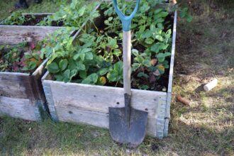 Der Selbstversorger-Garten: Eine nachhaltige und autarke Lösung für frische Lebensmittel - Wohntrends Magazin