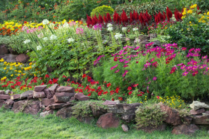 Staudengarten gestalten: Vielfalt und Farbenpracht im Garten