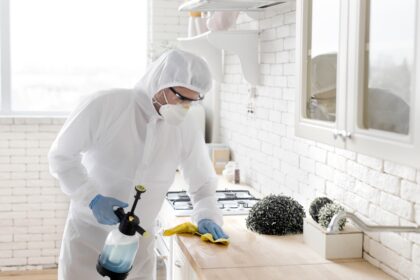 Borkenkäfer im Haus: Erfolgreiche Bekämpfungsmethoden und langfristiger Schutz