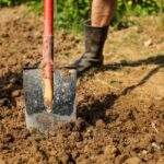 Lehmboden verbessern: Tipps für einen fruchtbaren Gartenboden