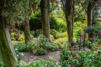 Garten mit wenig Geld gestalten: Kreative Ideen für eine preiswerte Gartengestaltung