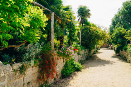 Mediterraner Garten: Gestaltungstipps für ein mediterranes Flair im eigenen Außenbereich