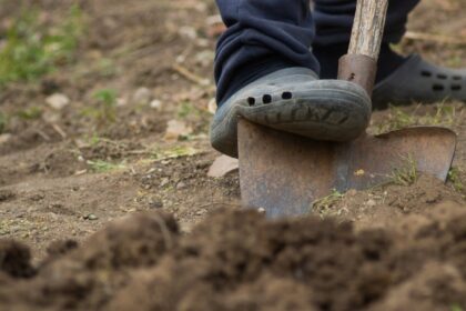 Bodenarten im Überblick: Wie erkennt man den richtigen Bodentyp für den Garten? - Wohntrends Magazin