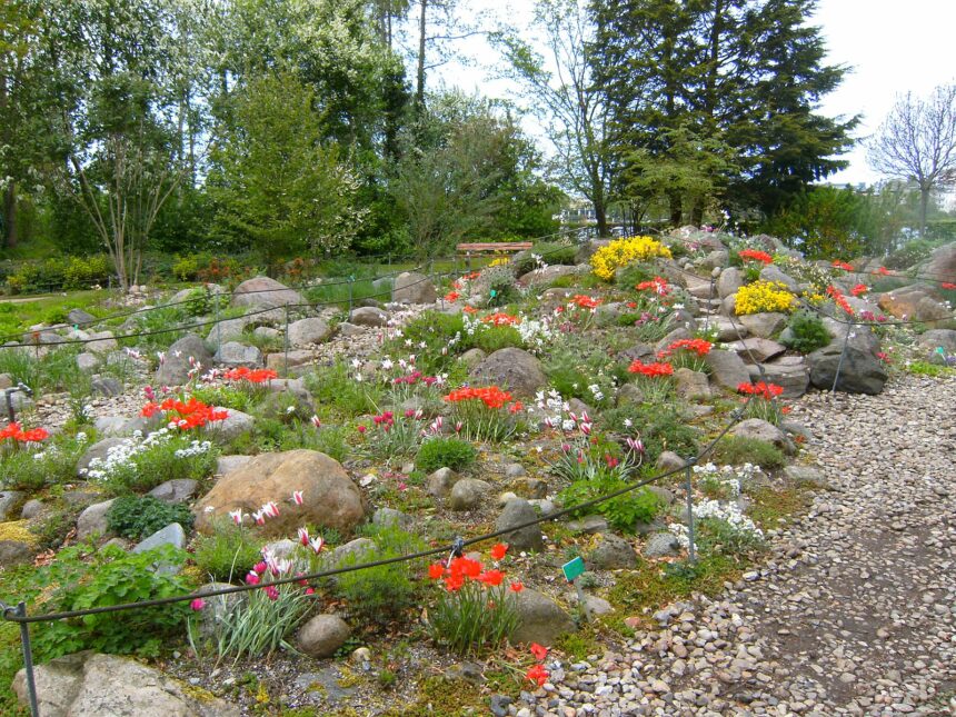 Steingarten anlegen: Schritt-für-Schritt-Anleitung für Anfänger