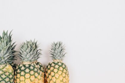 Voll im Trend: Minimalistisches Wohnen in der Stadt - Wohntrends Magazin