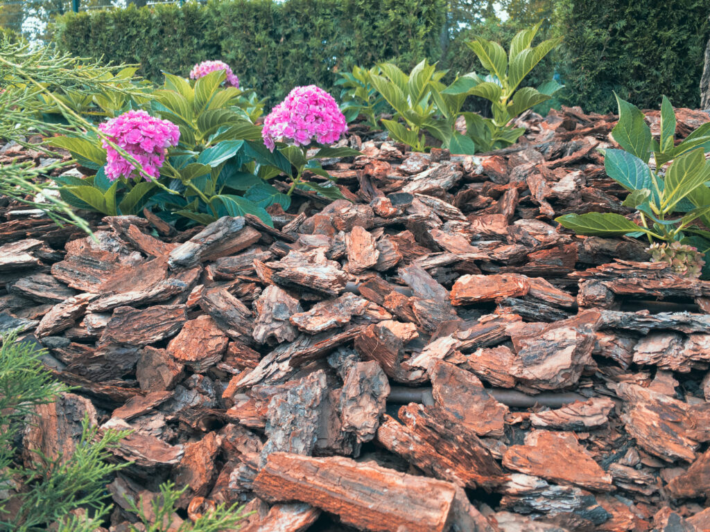 Rindenmulch im Garten Ideen für eine naturnahe Gestaltung Wohntrends