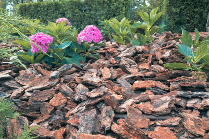 Rindenmulch im Garten: Ideen für eine naturnahe Gestaltung