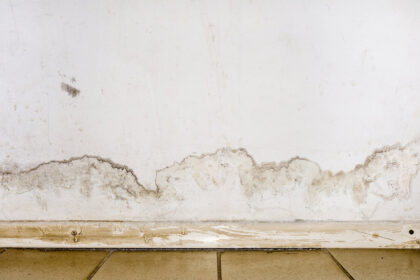 Feuchtigkeit in Wänden: Wie feucht darf eine Wand sein? - Wohntrends Magazin