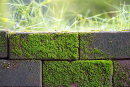 Grünspan auf Stein effektiv mit Hausmitteln entfernen: Ein praktischer Leitfaden - Wohntrends Magazin