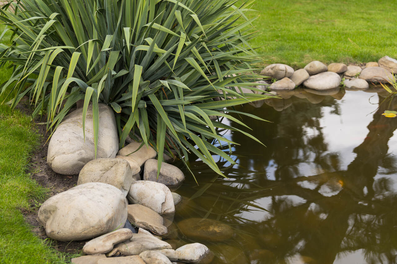 GartenteichUmrandung Kreative Ideen für jeden Gartenstil Wohntrends