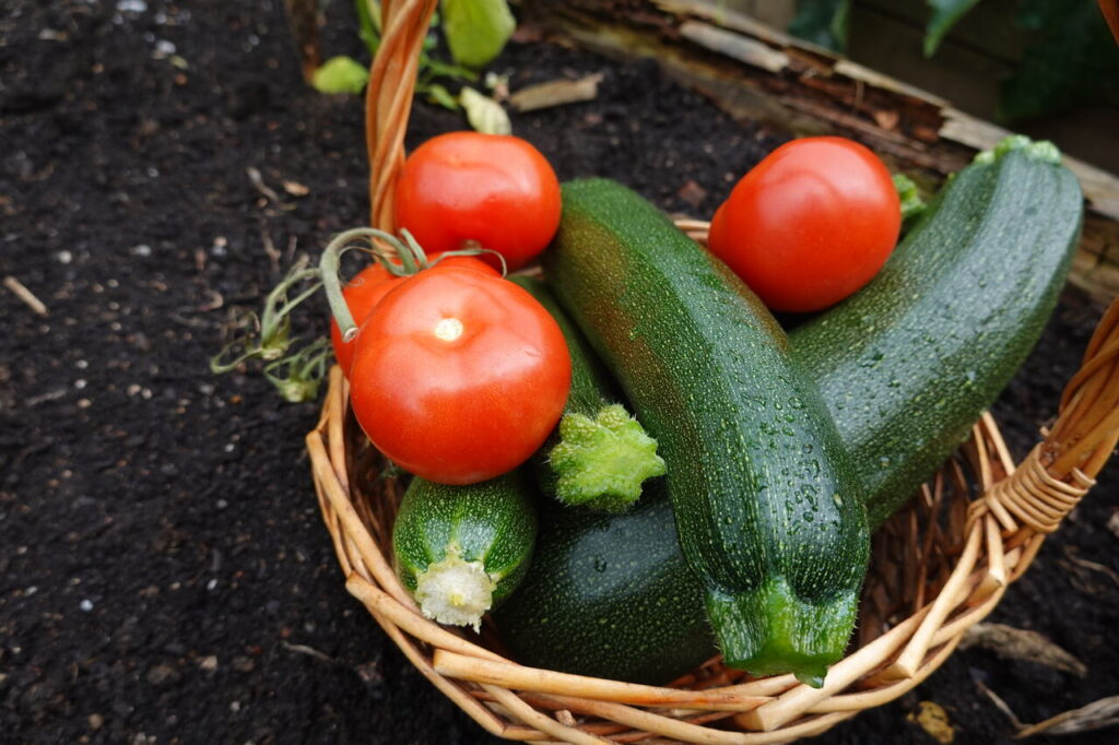 Zucchini im Gemüsegarten: Gute Nachbarn für eine ertragreiche Ernte - Wohntrends Magazin