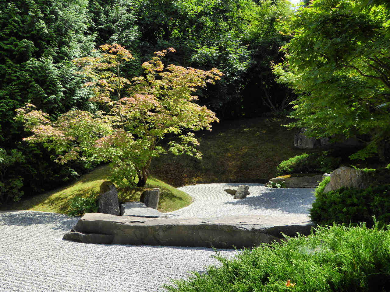 Zen-Garten anlegen: Eine praktische Anleitung für Ihren eigenen Ruheort - Wohntrends Magazin