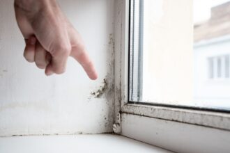 Schimmel am Fenster: Praktische Tipps zur Vermeidung und Beseitigung - Wohntrends Magazin