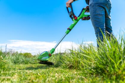 Hohes Gras mähen: Tipps und Tricks für die Pflege Ihres Gartens - Wohntrends Magazin