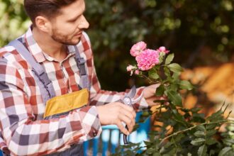 Was blüht im Mai? Die schönsten Pflanzen für Ihren Garten in der Übergangszeit - Wohntrends Magazin