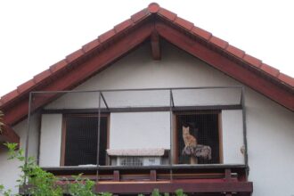 Balkon katzensicher machen