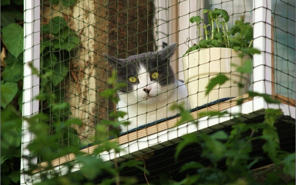 Balkon katzensicher machen Praktische Tipps für die Sicherheit Ihrer