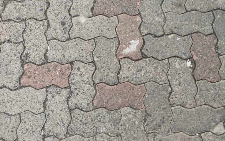 Flechten Entfernen Mit Essigessenz