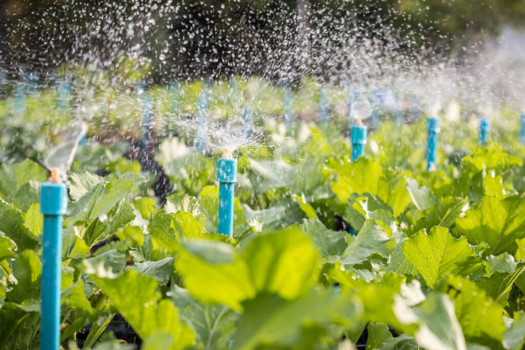 Bewässerung im Hochbeet: Optimale Methoden für gesunde Pflanzen - Wohntrends Magazin