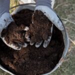 Erde sieben: Effektive Methoden für die Bodenverbesserung im Garten - Wohntrends Magazin