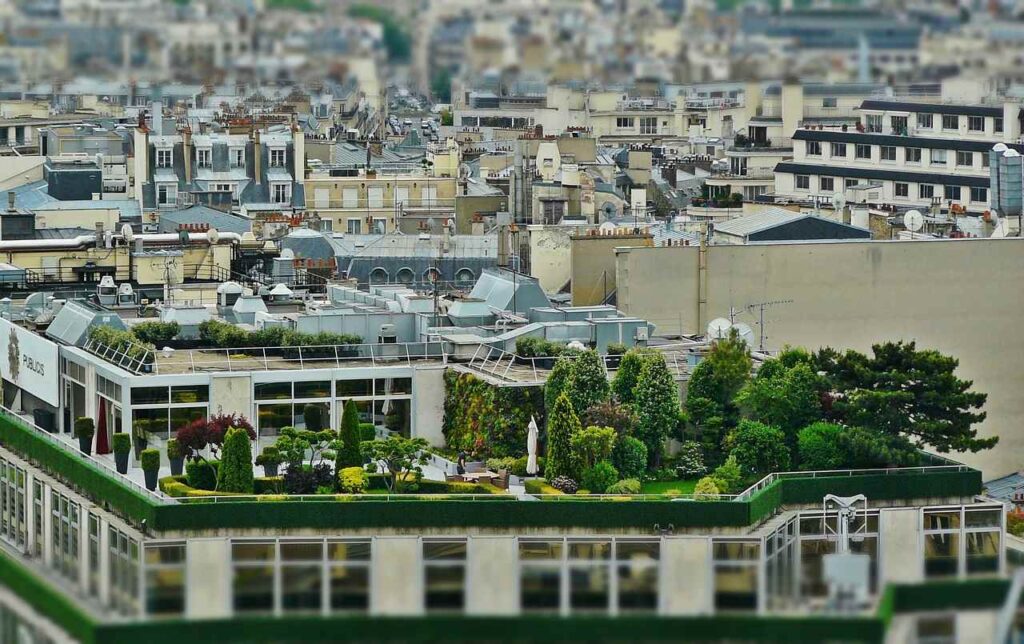 Nachhaltige Dachgärten: Ökologische Gestaltungstipps für Ihr Zuhause - Wohntrends Magazin