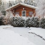 Winterschutz für Pflanzen: Effektive Methoden und Materialien - Wohntrends Magazin