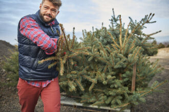 Weihnachtsbaum entsorgen