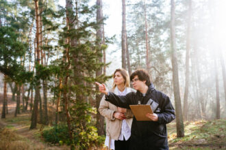 Einen eigenen Wald kaufen: Ein Leitfaden für potenzielle Waldbesitzer - Wohntrends Magazin