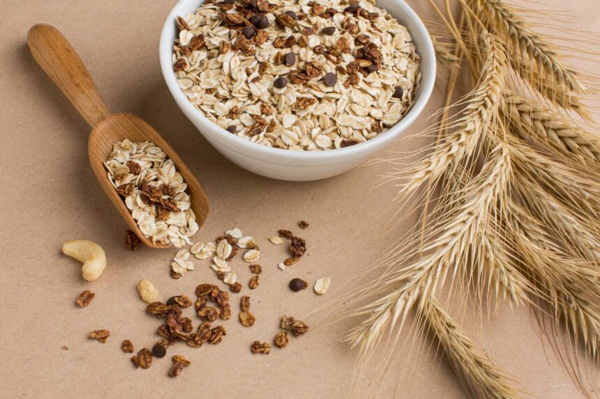 Haferflocken gegen Schnecken Ein natürlicher Schutz für Ihren Garten
