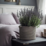 Lavendel im Schlafzimmer