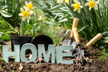 Garten kreativ gestalten
